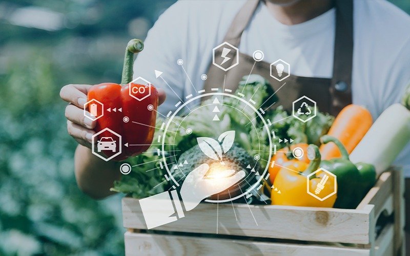 Creating a Sustainable Nutrition Approach